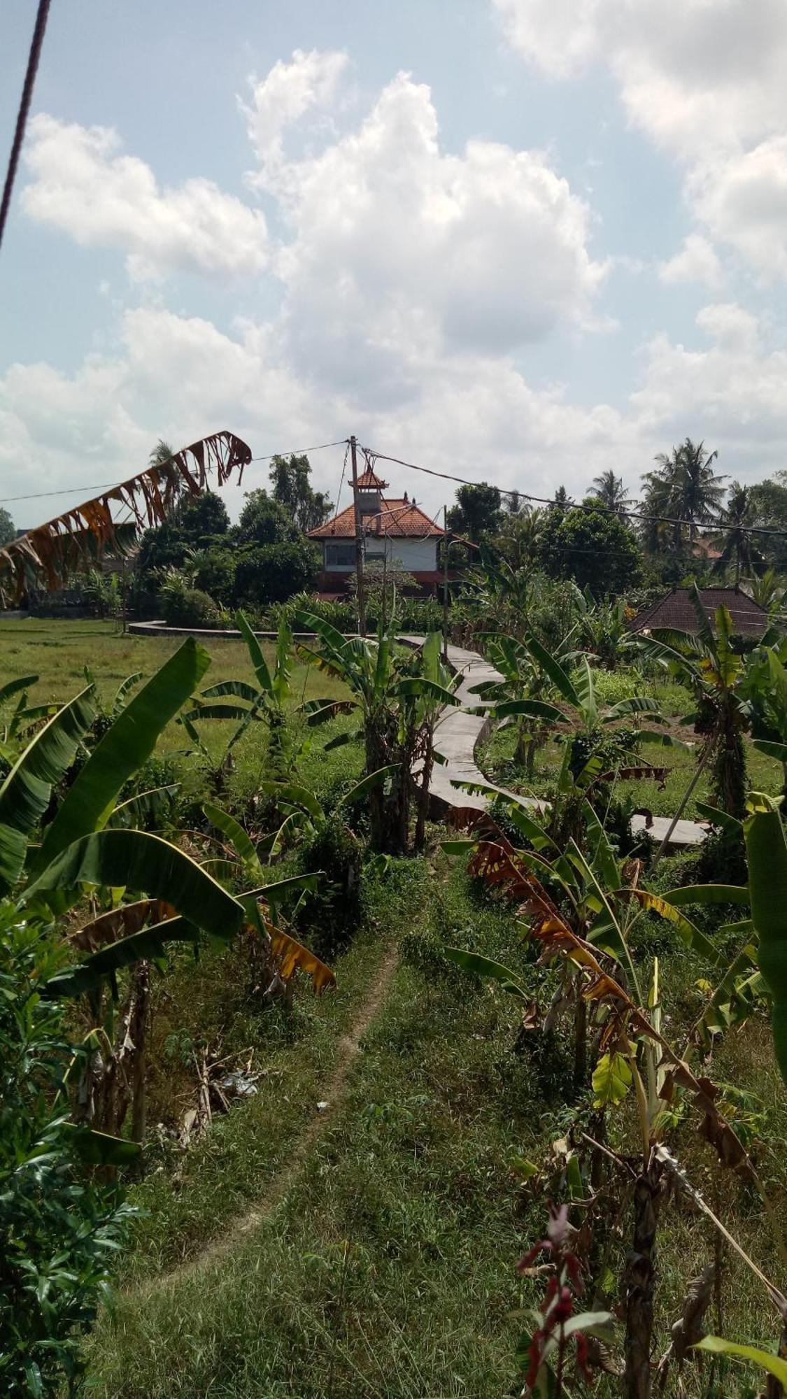 Kubu Loris Residence Ubud Zimmer foto